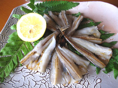 公式 めひかりの干物 有限会社星野水産 魚介類 加工品 愛知県でメヒカリなどの魚介類を使ったおつまみを販売しています