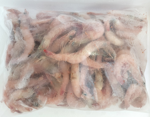 ガスエビ(ヒゲナガエビ)【有頭】(10kg)