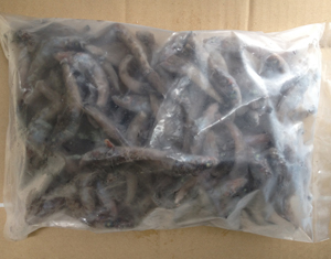 メヒカリ【有頭】少量セット(4kg)