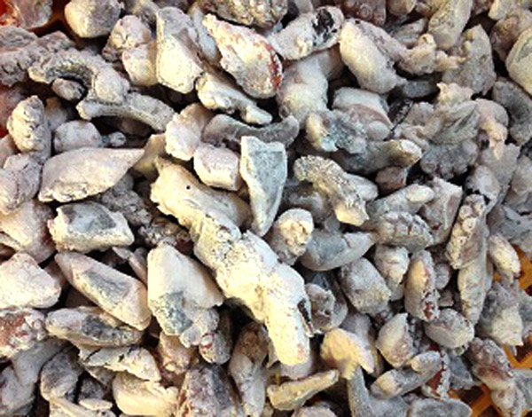 真ダコ唐揚(10kg / 5.6kg)