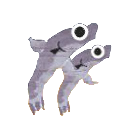 魚