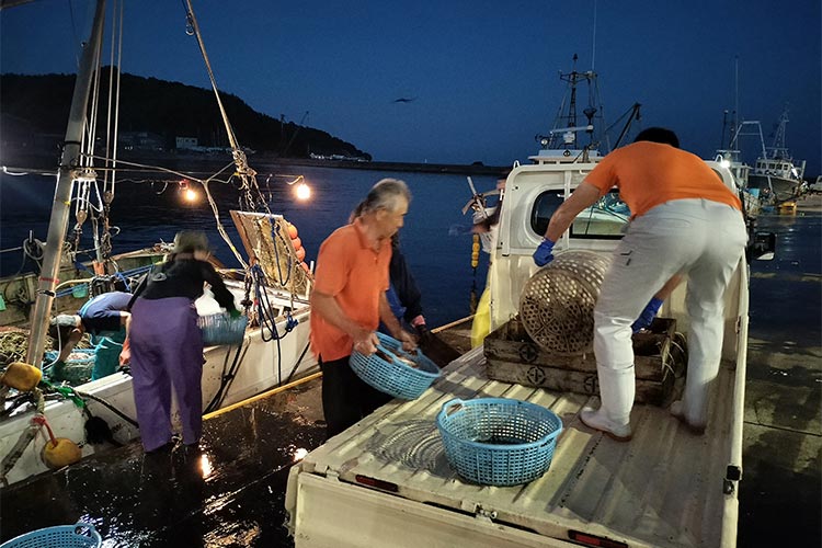 蒲郡西浦港にて朝4時から作業開始
