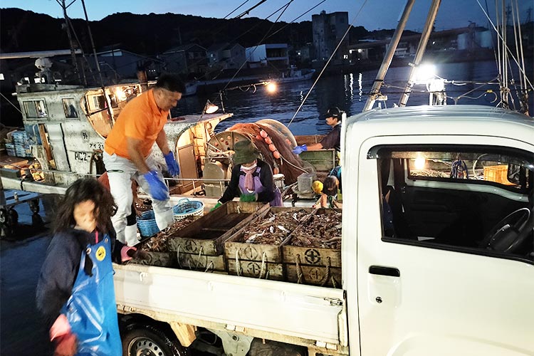 水揚げされた魚介類はすぐに積込みます
