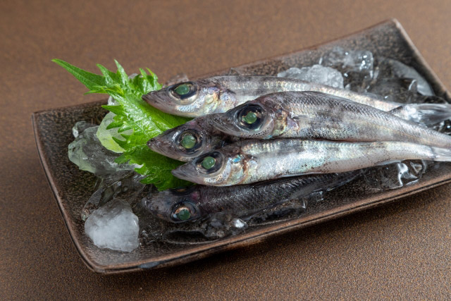 めひかり(アオメエソ)