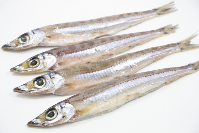 ニギスは脂質がワカサギの2倍！