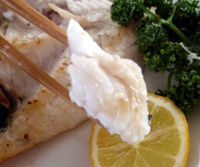 「金目鯛」ってどんな魚？