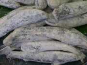 メヒカリ唐揚げの調理法